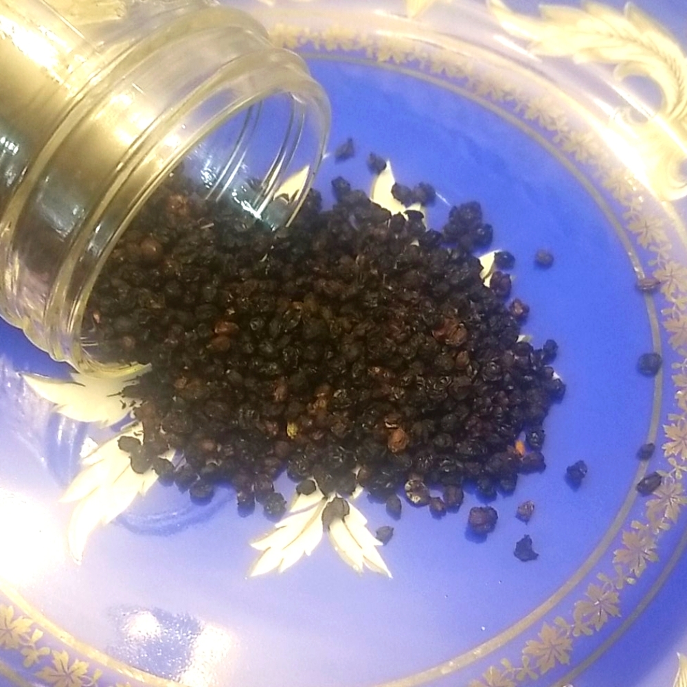 Elderberries dried 1 oz organic holistic